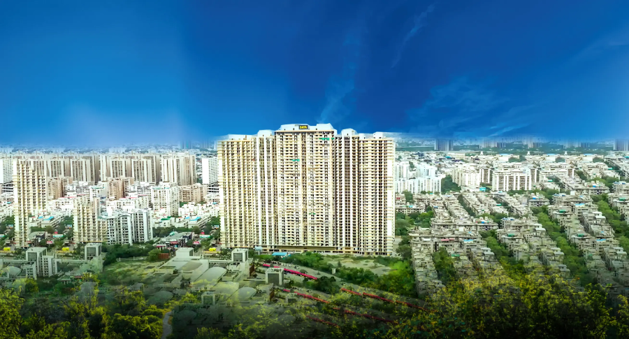 Saya New Residency